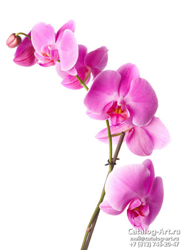 картинки для фотопечати на потолках, идеи, фото, образцы - Потолки с фотопечатью - Розовые орхидеи 15
